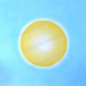 Soleil maçonnique
