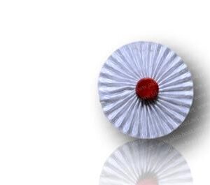 Cocarde-Rosette Chevalier Bienfaisant de la Cité Sainte